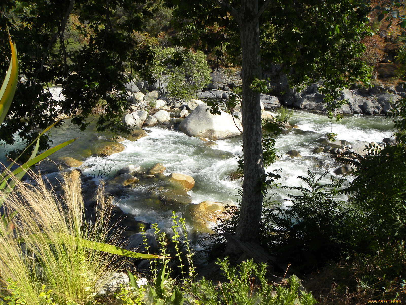 kaweah, river, , , , 